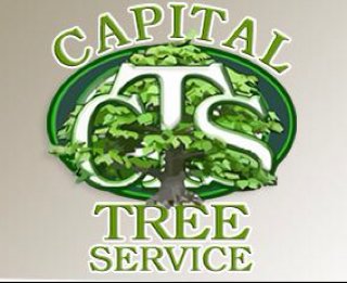 Capital Tree Service