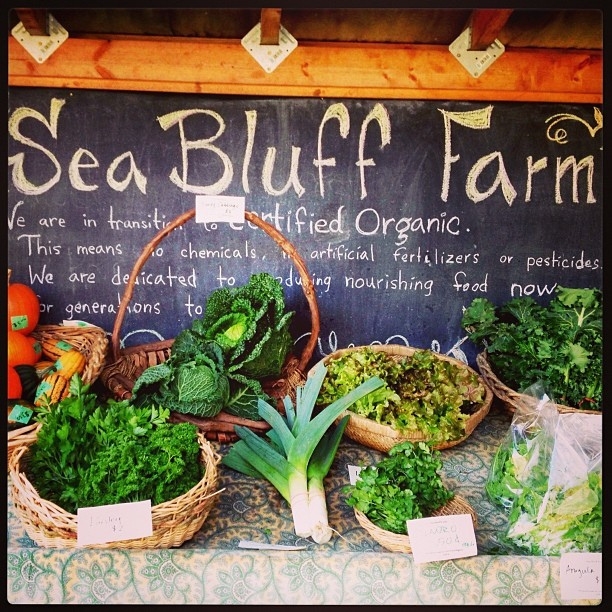 Sea Bluff Farm