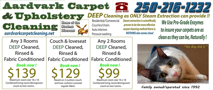 Aardvark Carpet & Upholstery Cleaning