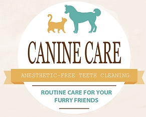 Canine Care Pet Teeth Cleaning